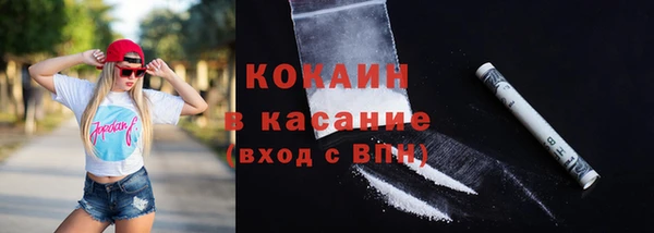 шишки Бородино