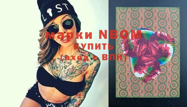 шишки Бородино