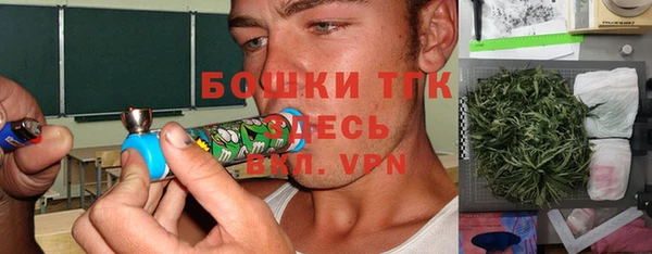 крисы Бронницы