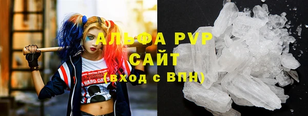 крисы Бронницы