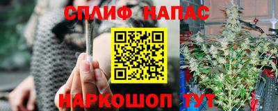 стаф Лесосибирск