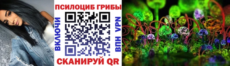 цена наркотик Городец Галлюциногенные грибы прущие грибы