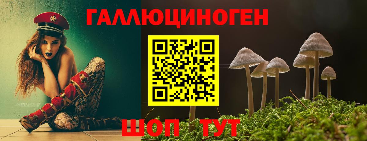 Галлюциногенные грибы Cubensis Городец